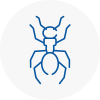 Ant Removals In Sedgley