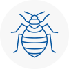 Bed Bug Extermination In Sedgley