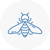Bee Nest Removal Sedgley