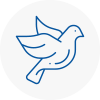 Bird Prevention Sedgley