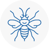 Sedgley Hornet Nest Removals