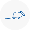 Mice Exterminators In Sedgley