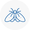 Moth Control Specialists In Sedgley
