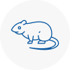 Rat Control Sedgley
