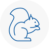 Sedgley Rodent Removals