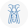 Sedgley Wasp Nest Removal